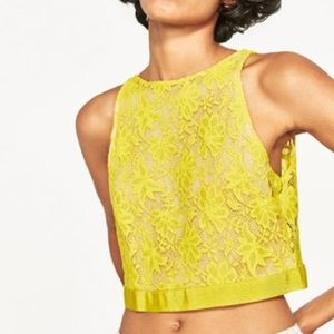 ZARA Lace Open Back Top